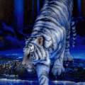 Голубой тигр