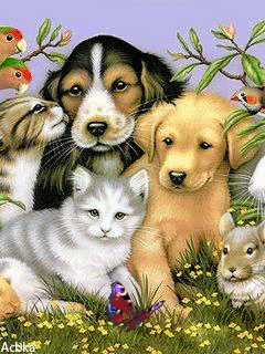 Картинка Домашние животные из коллекции Анимация на телефон Животные