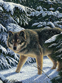 Волк в зимнем лесу - Животные