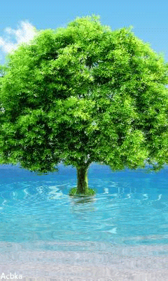 Картинка Дерево в воде из коллекции Картинки анимация Природа