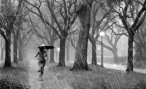 Картинка Дождь из коллекции Картинки анимация Природа