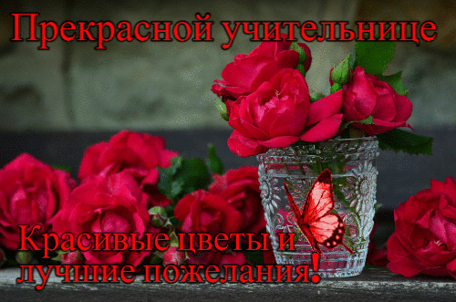 Картинка Прекрасной учительнице красивые цветы и пожелания из коллекции Открытки поздравления День учителя