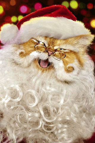 Картинка Кот Дед Мороз из коллекции Анимация на телефон Новогодние картинки